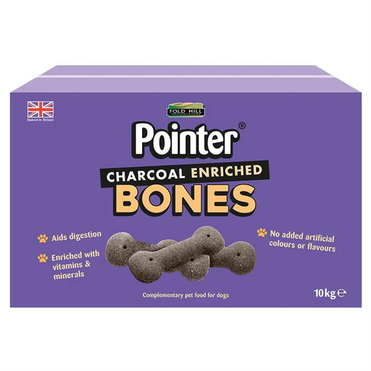 Fold Hill Pointer Boni-Bix Charcoal