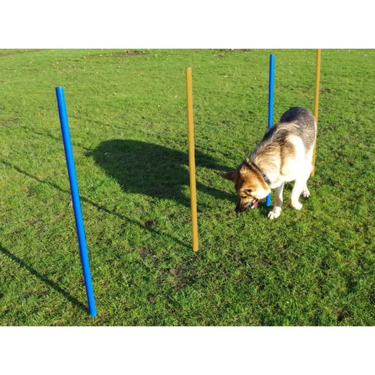 Agility Slalom Poles Pk5