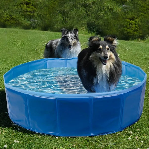 Pet Swimming Pool