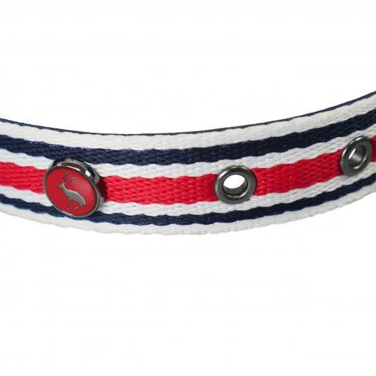 Joules Dapper Dogs Striped Nylon & Leather Collar