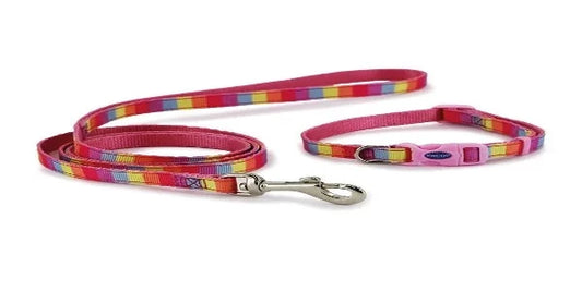 Small Bite Collar & Lead Set Rainbow Pink