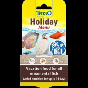 Tetra Holiday Menu | PACK OF 12