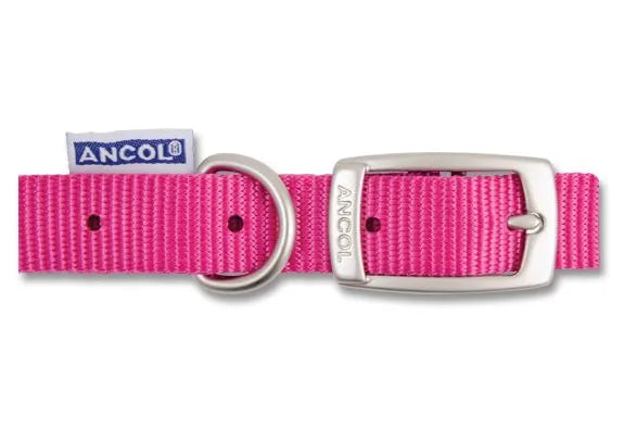 Viva Nylon Buckle Collar Pink