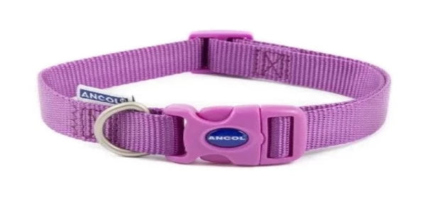 Viva Nylon Quick Fit Adj Collar Purple