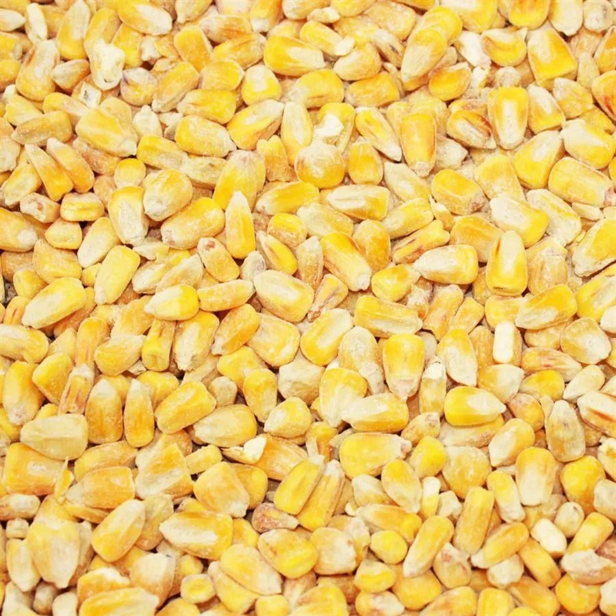 Whole Maize