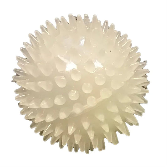 2.5” Glow Ball with Squeaker